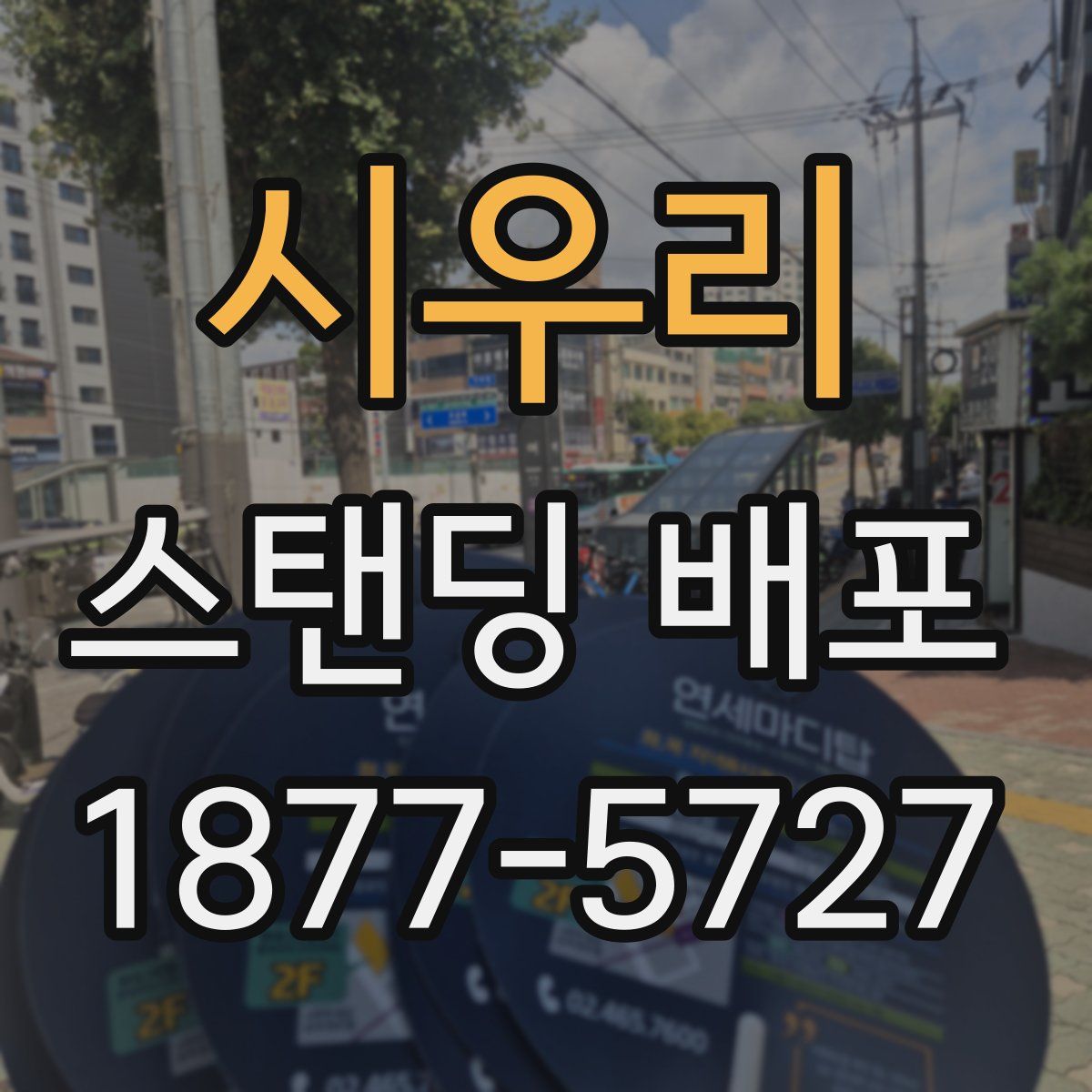시우리 스탠딩 배포