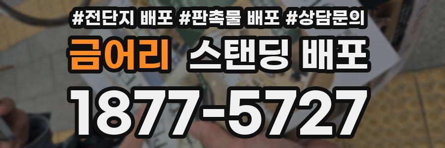 금어리 스탠딩 배포