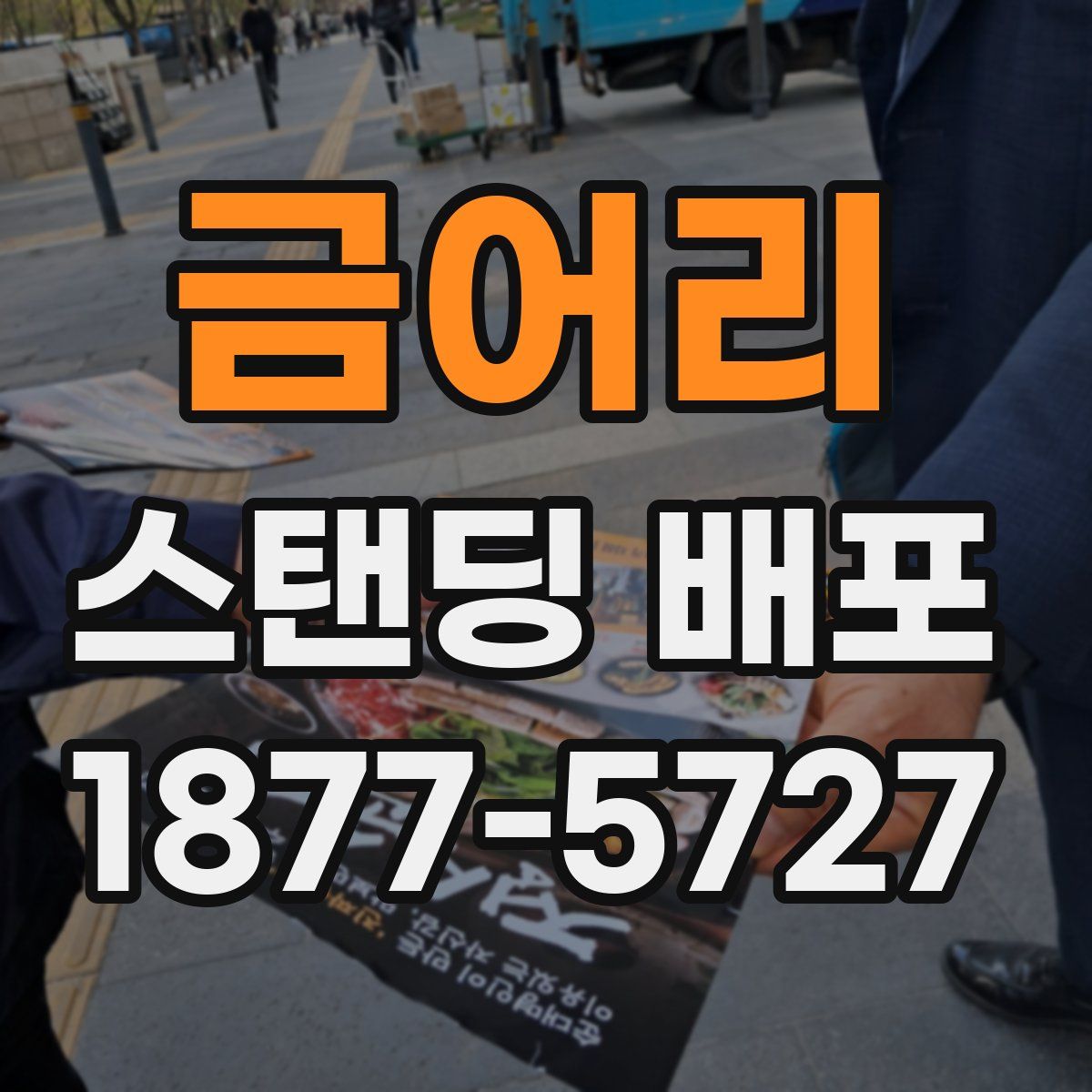 금어리 스탠딩 배포