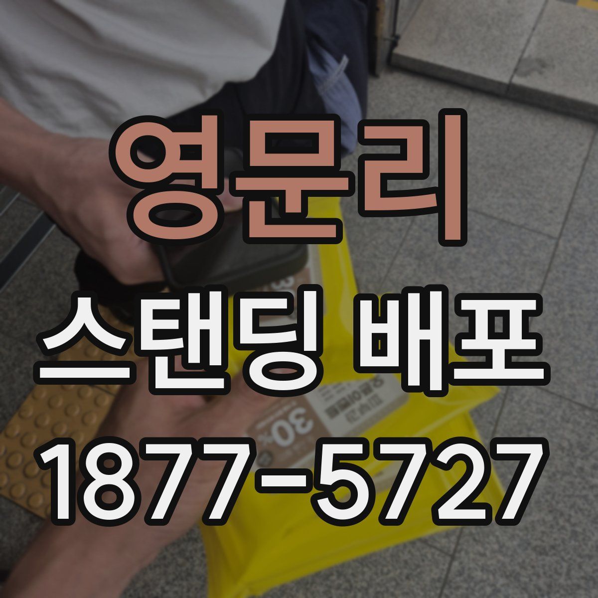 영문리 스탠딩 배포