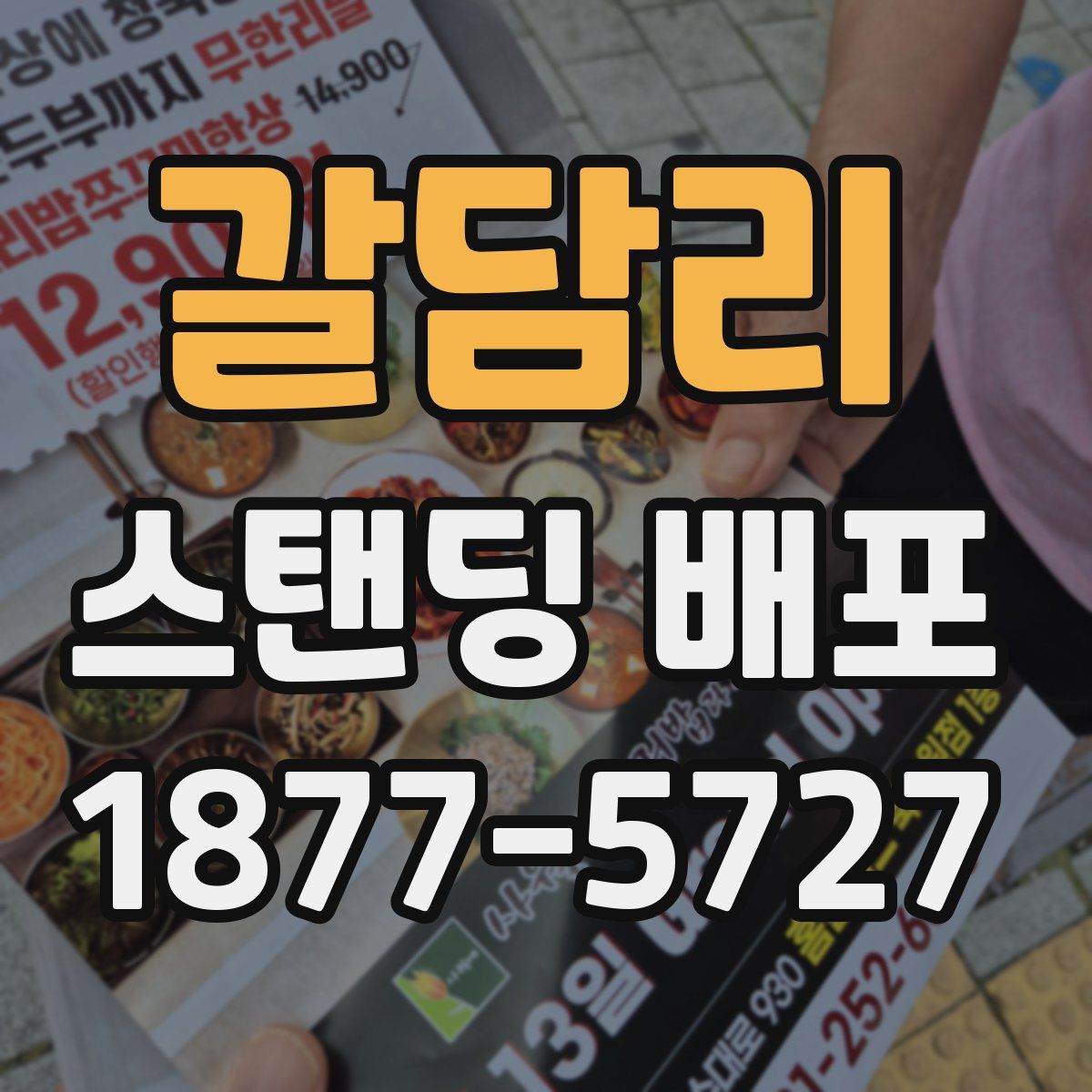 갈담리 스탠딩 배포