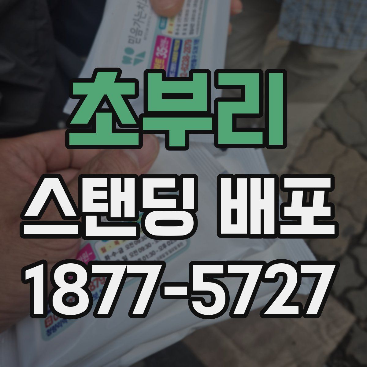 초부리 스탠딩 배포