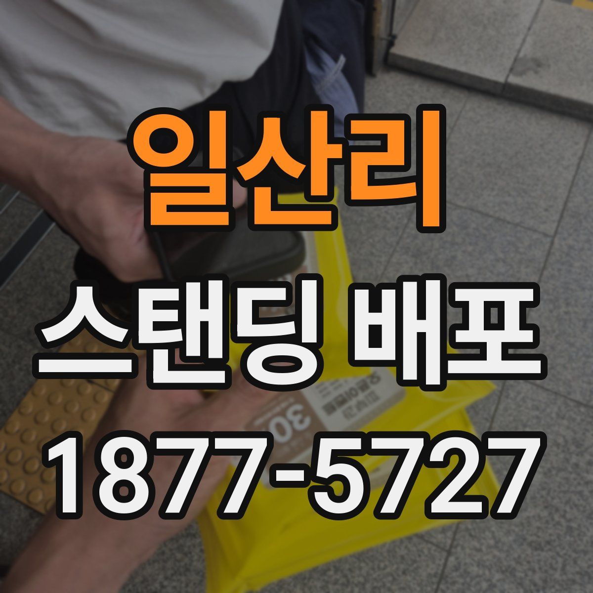 일산리 스탠딩 배포