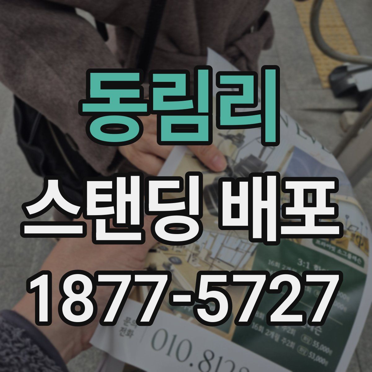 동림리 스탠딩 배포