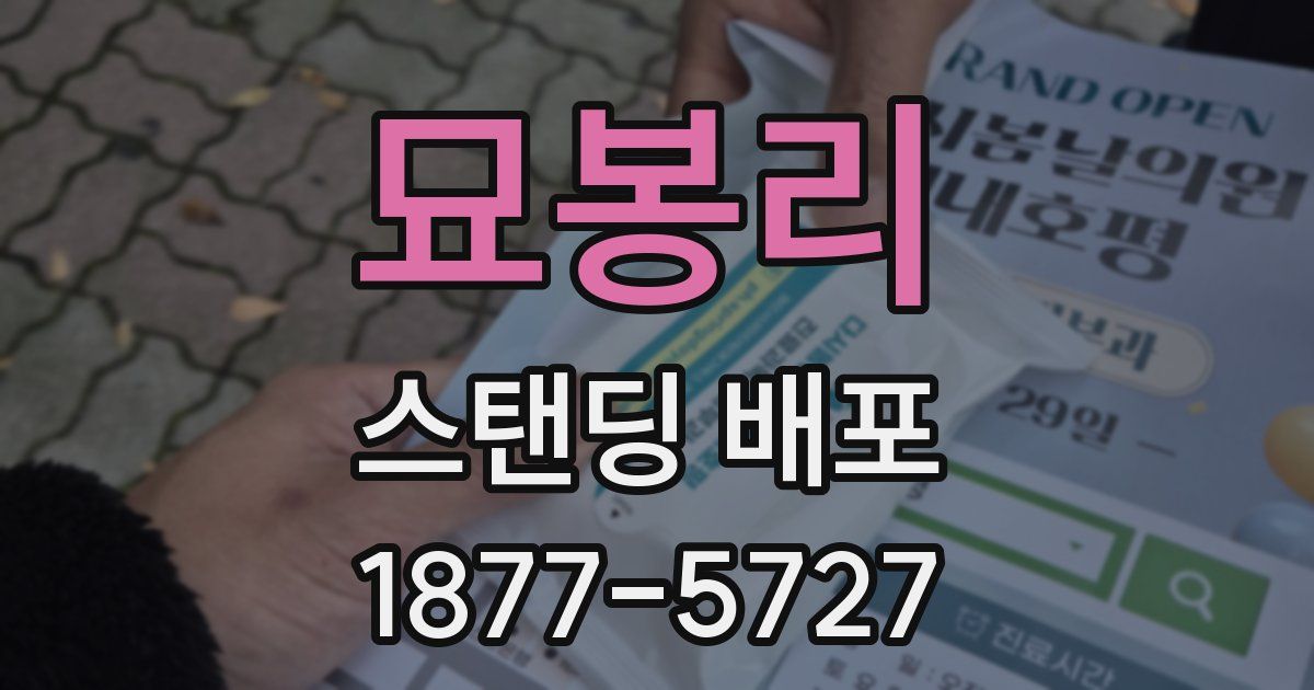 묘봉리 스탠딩 배포