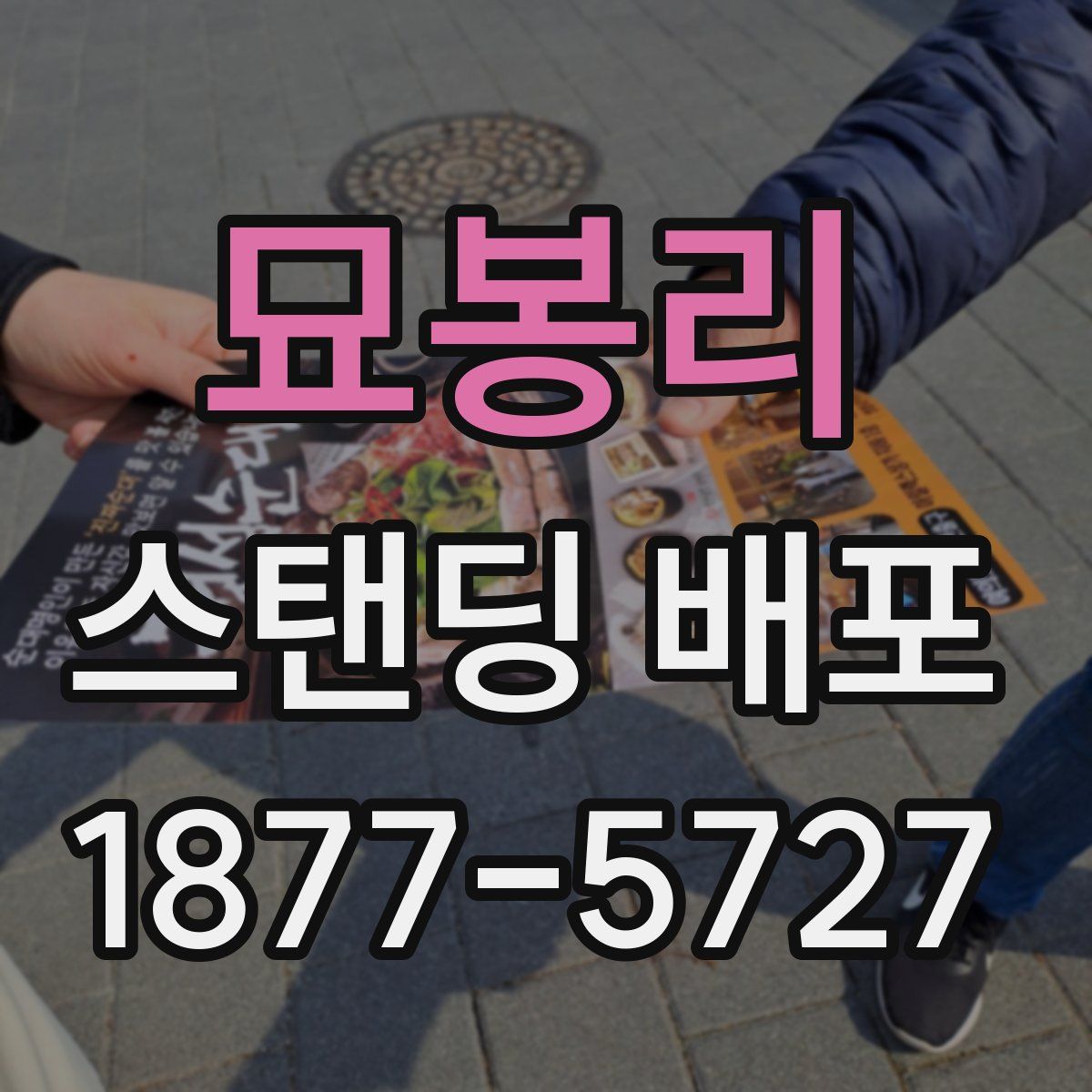 묘봉리 스탠딩 배포