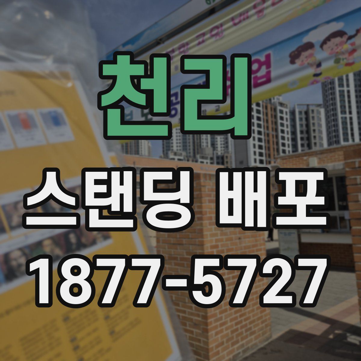 천리 스탠딩 배포