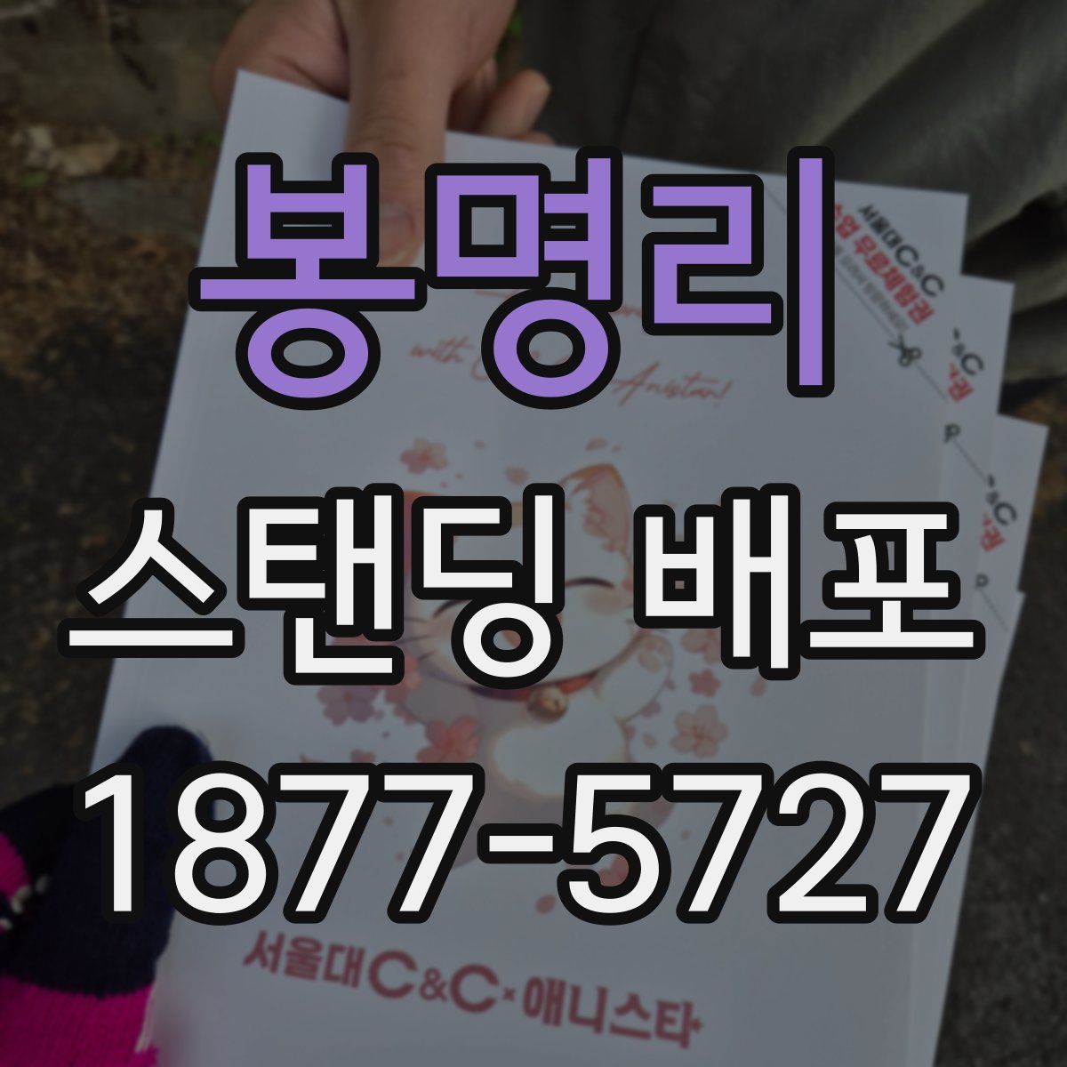 봉명리 스탠딩 배포