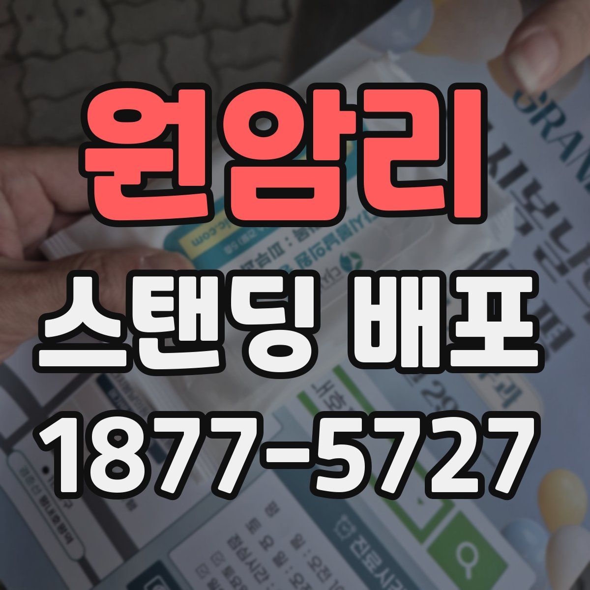 원암리 스탠딩 배포
