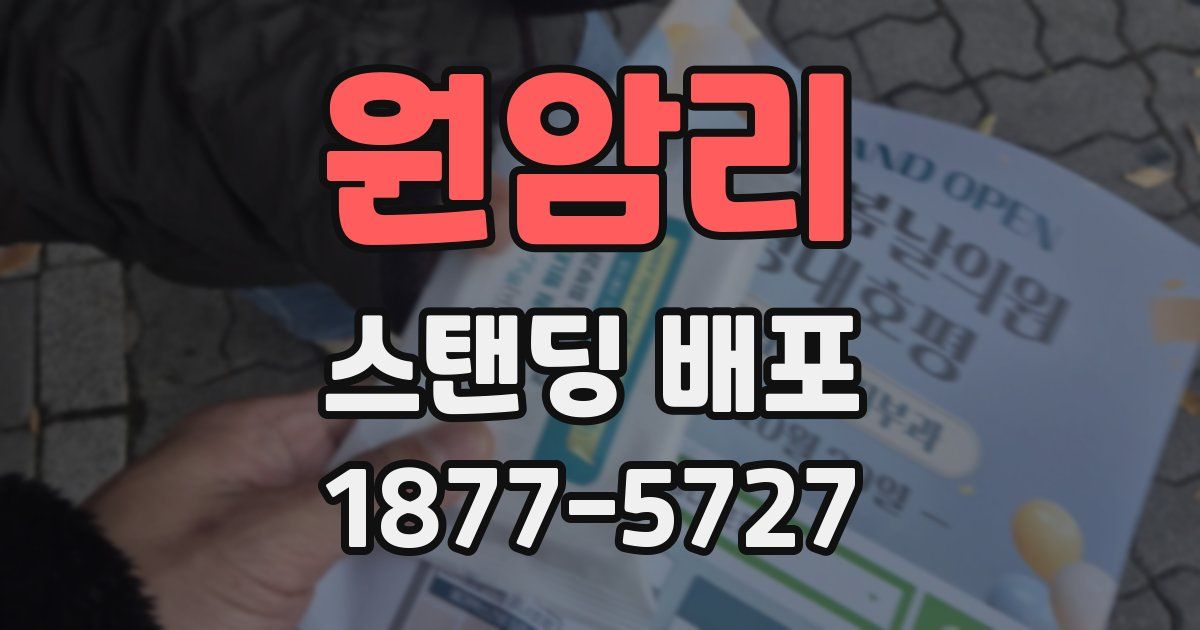 원암리 스탠딩 배포