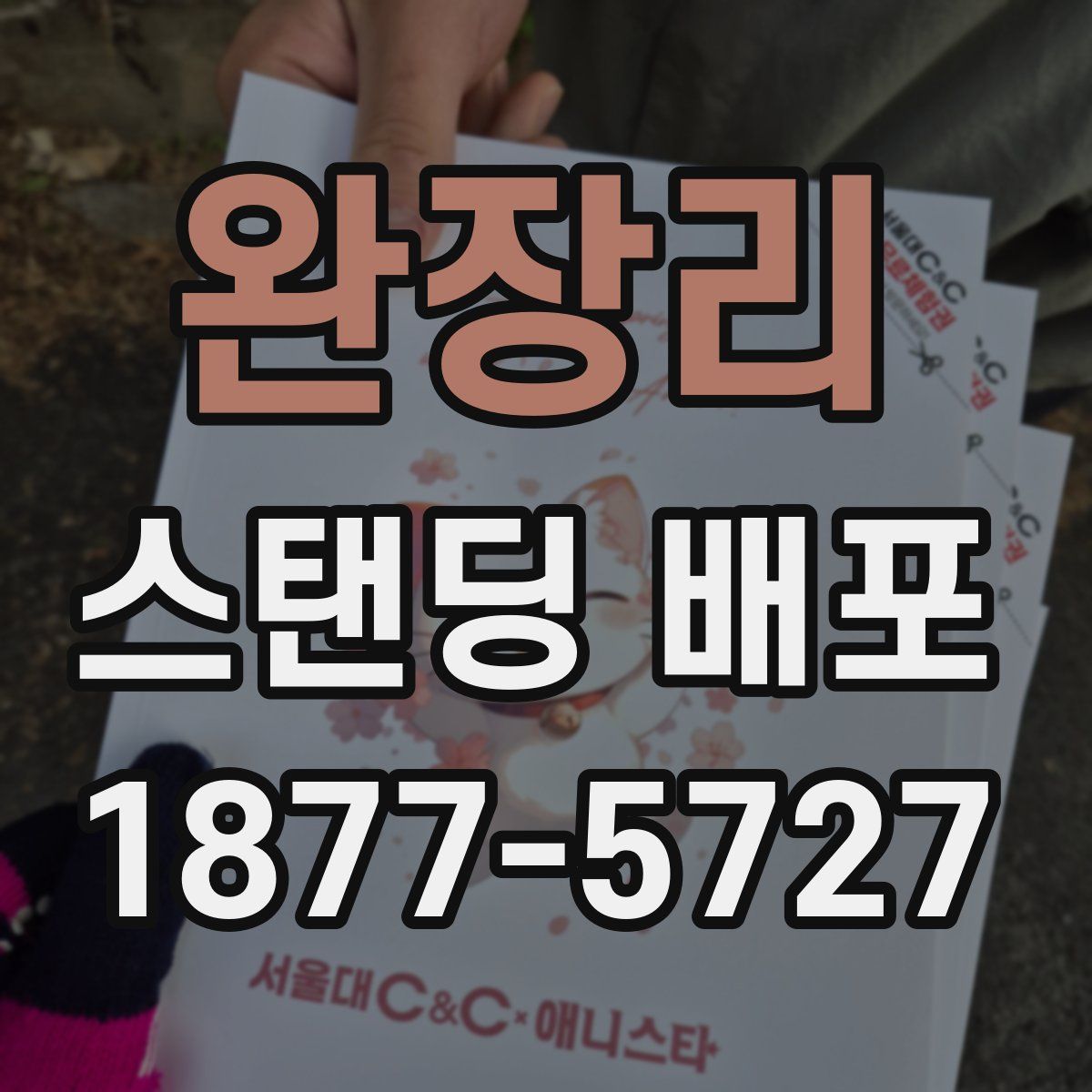완장리 스탠딩 배포