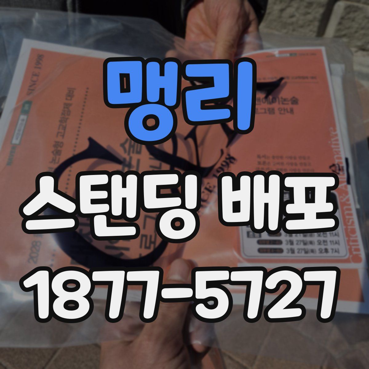 맹리 스탠딩 배포