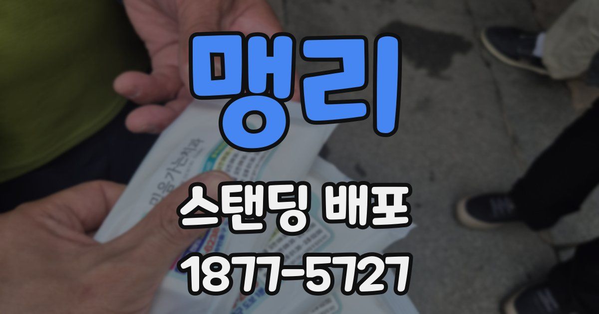 맹리 스탠딩 배포