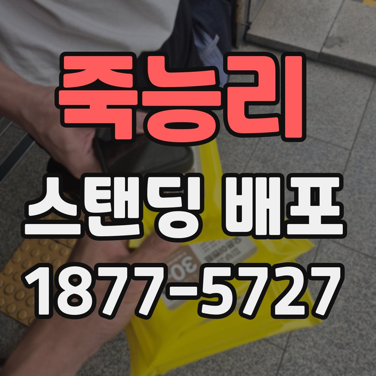 죽능리 스탠딩 배포