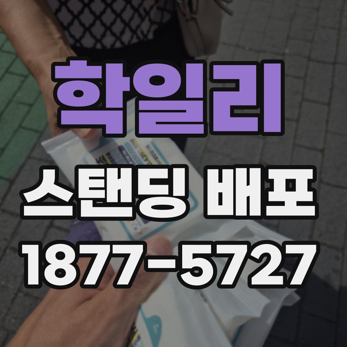학일리 스탠딩 배포