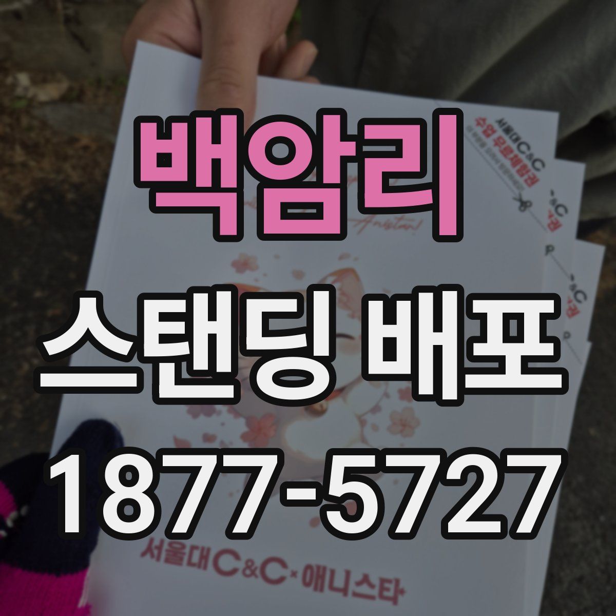 백암리 스탠딩 배포