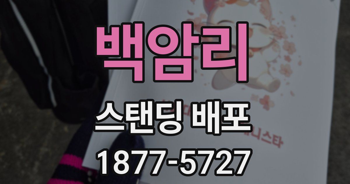 백암리 스탠딩 배포
