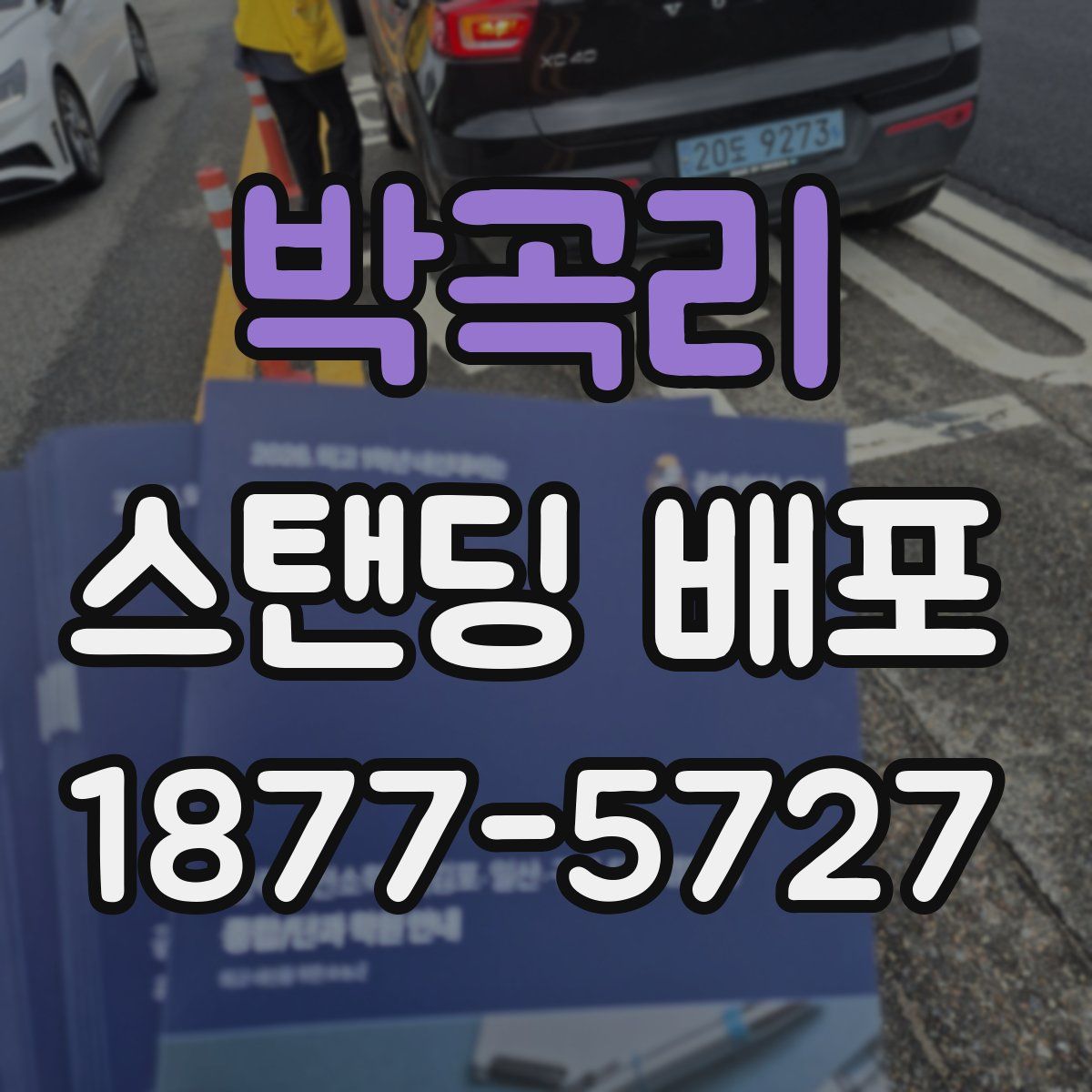 박곡리 스탠딩 배포