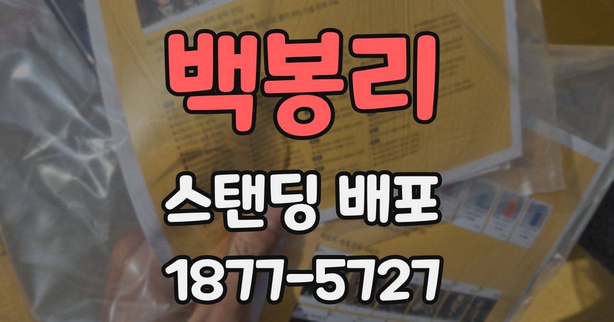 백봉리 스탠딩 배포