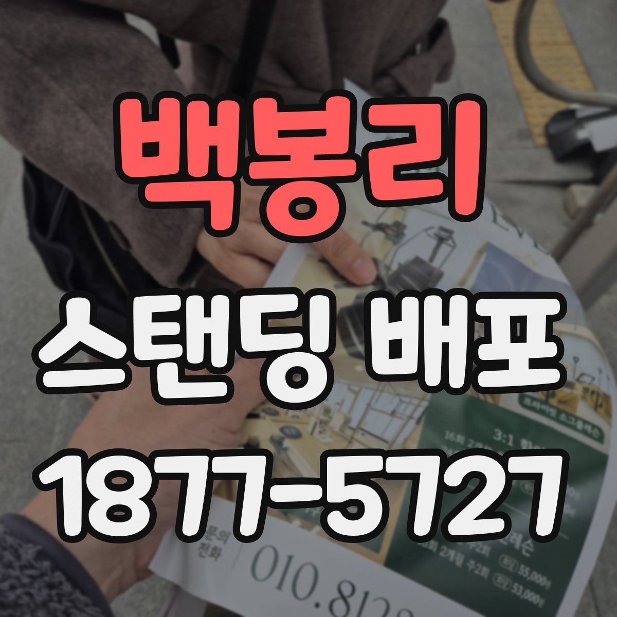 백봉리 스탠딩 배포