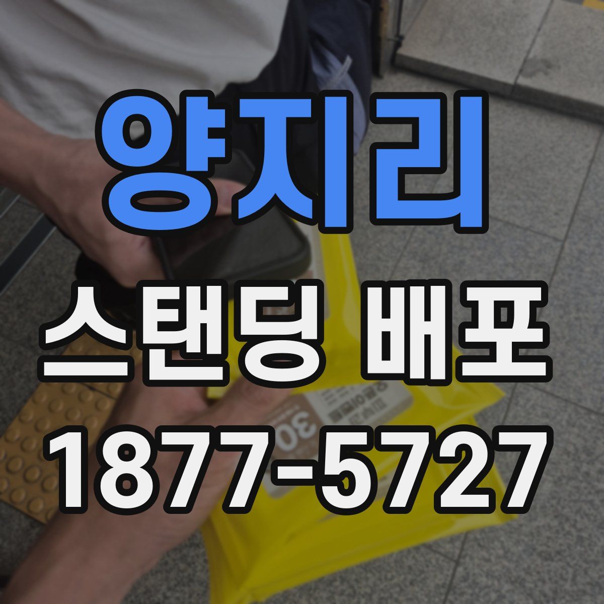 양지리 스탠딩 배포