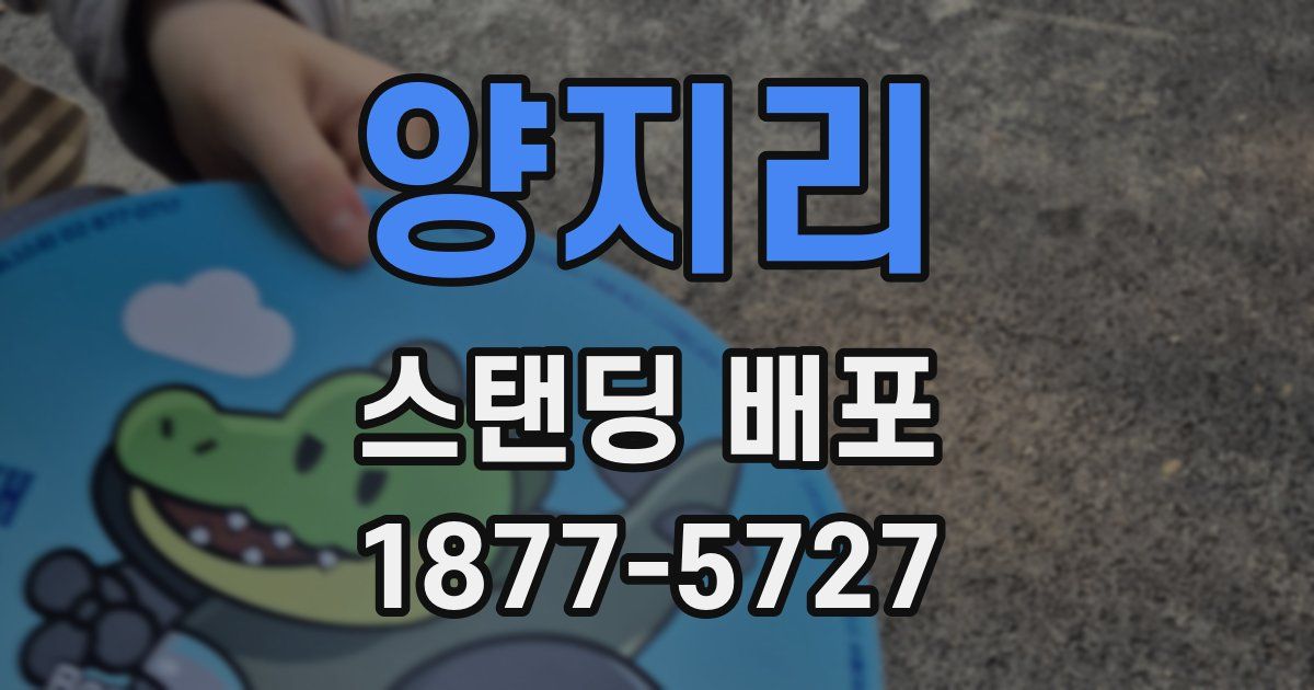 양지리 스탠딩 배포