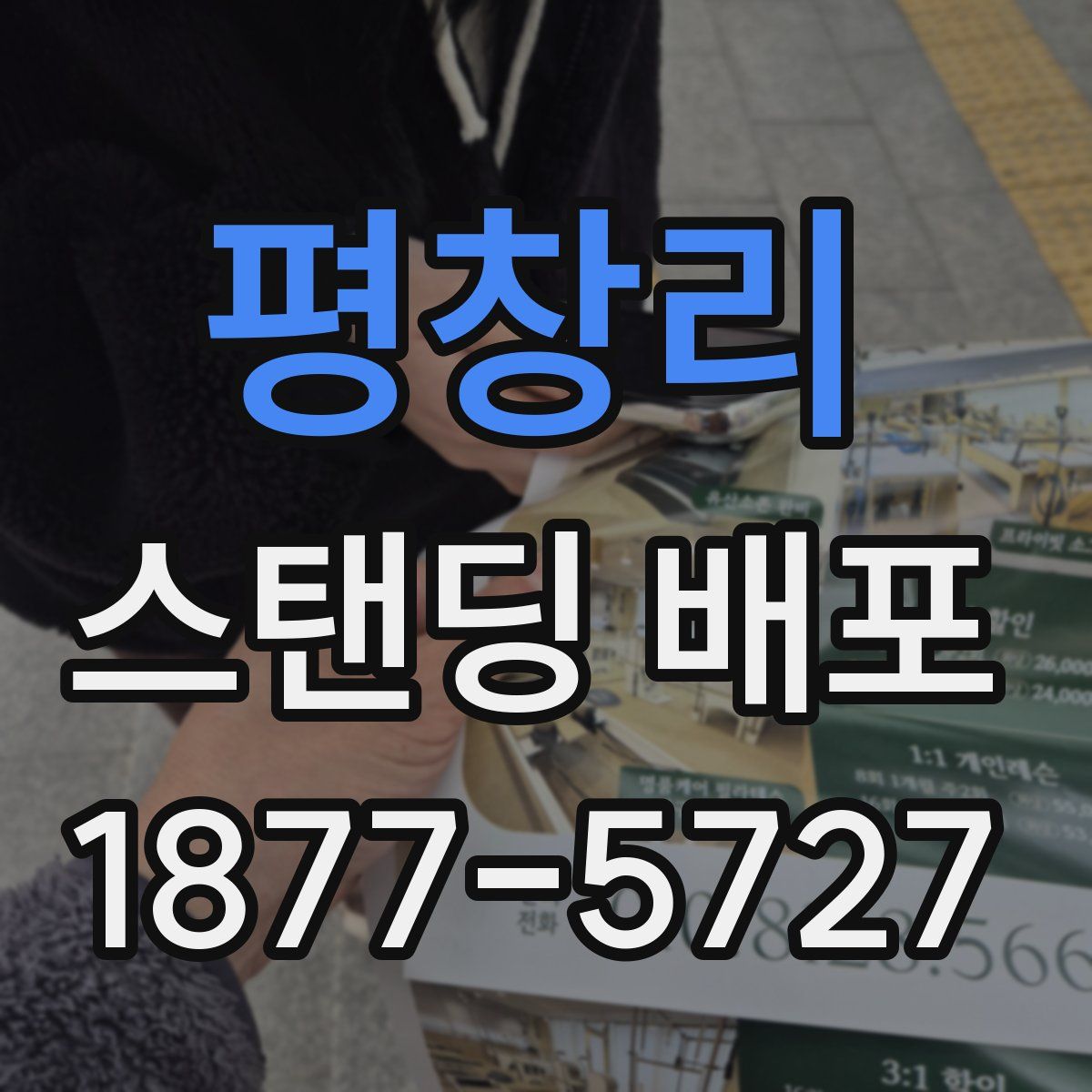 평창리 스탠딩 배포