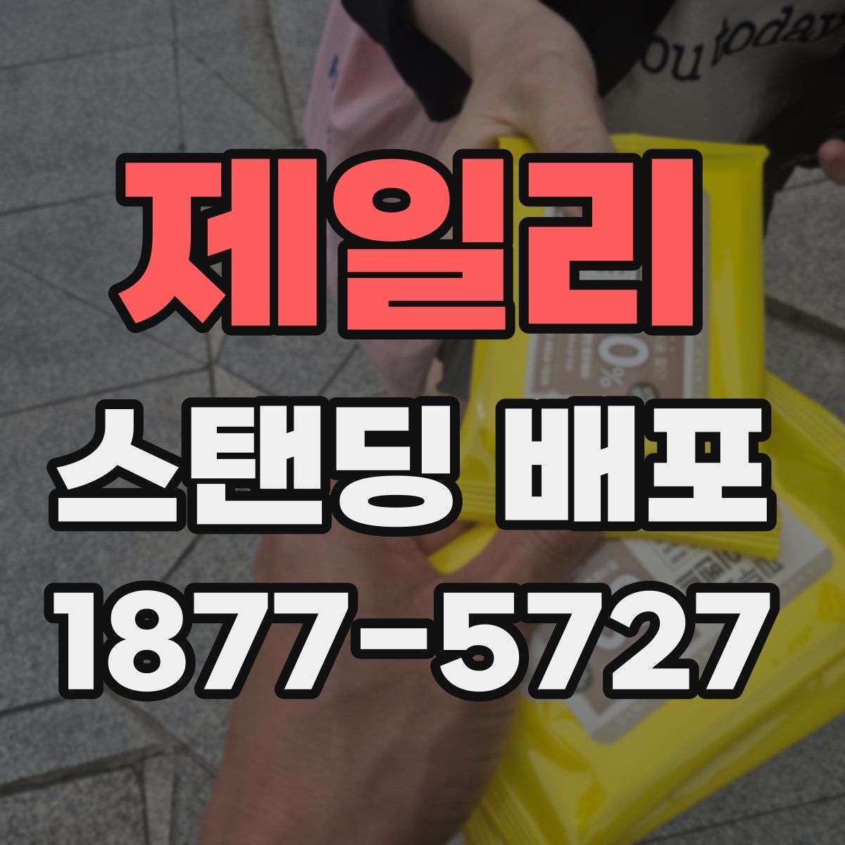 제일리 스탠딩 배포