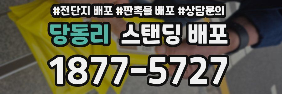 당동리 스탠딩 배포