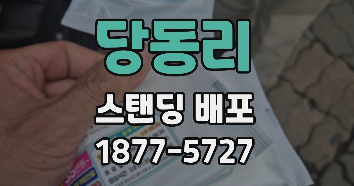 당동리 스탠딩 배포