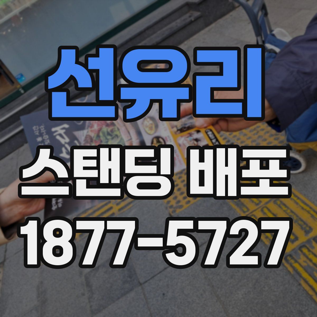 선유리 스탠딩 배포
