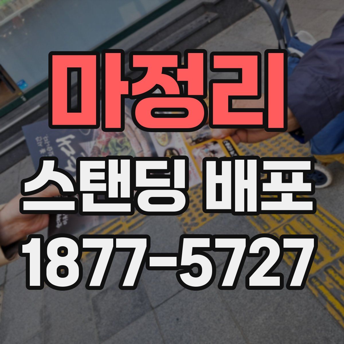마정리 스탠딩 배포