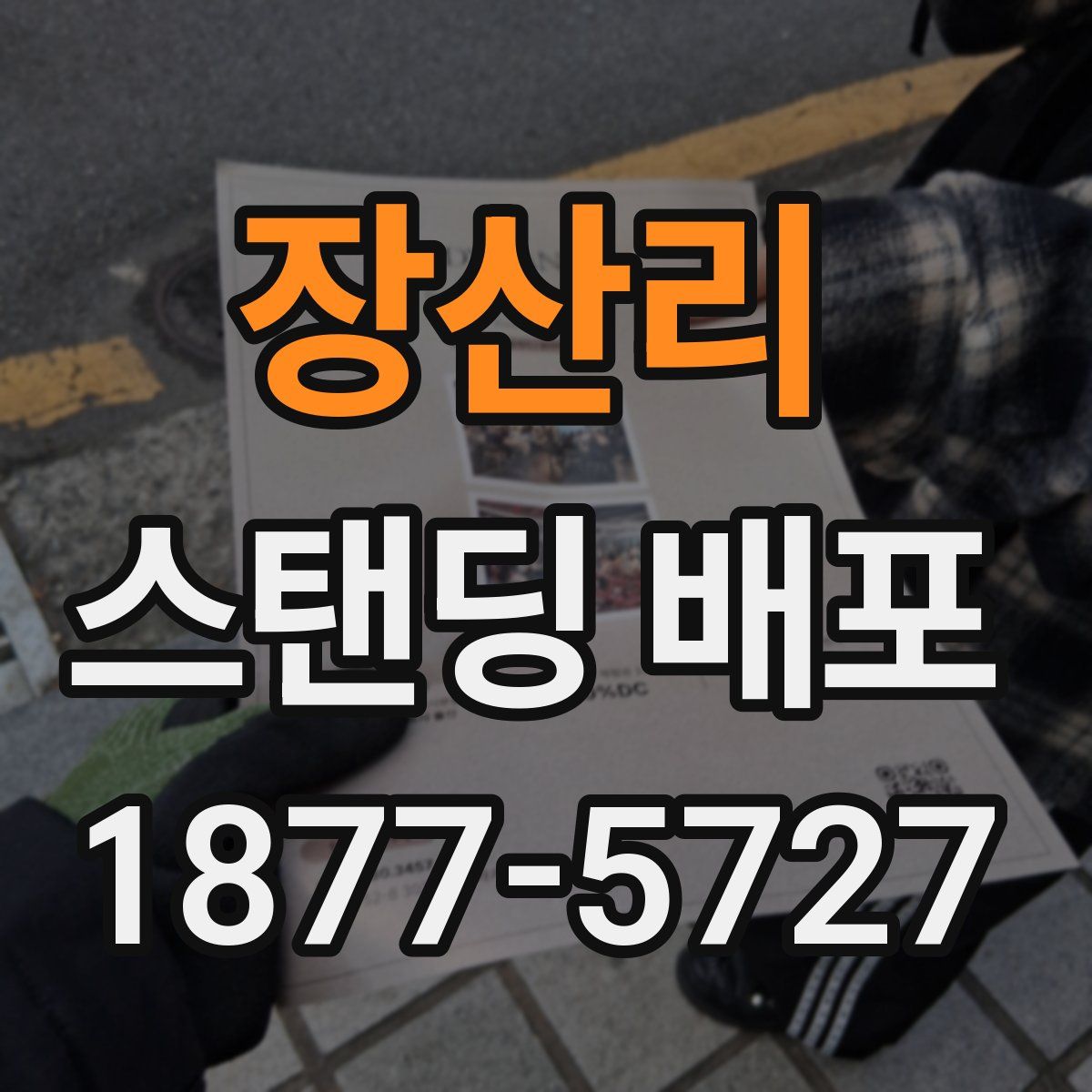 장산리 스탠딩 배포