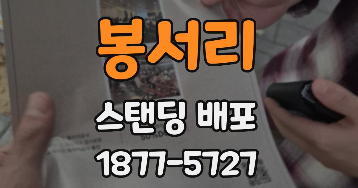 봉서리 스탠딩 배포