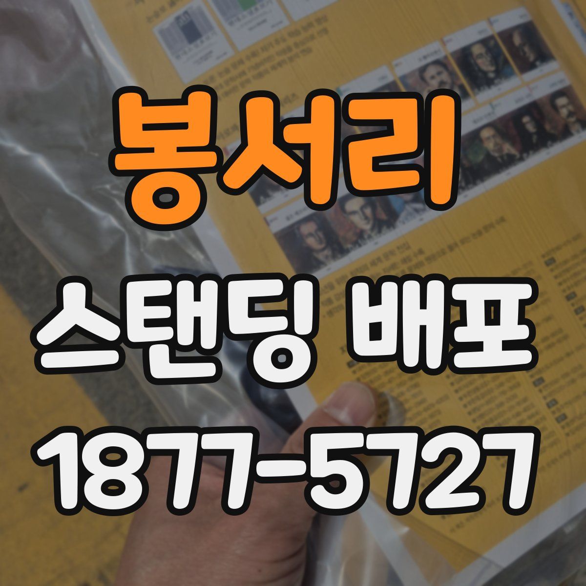 봉서리 스탠딩 배포