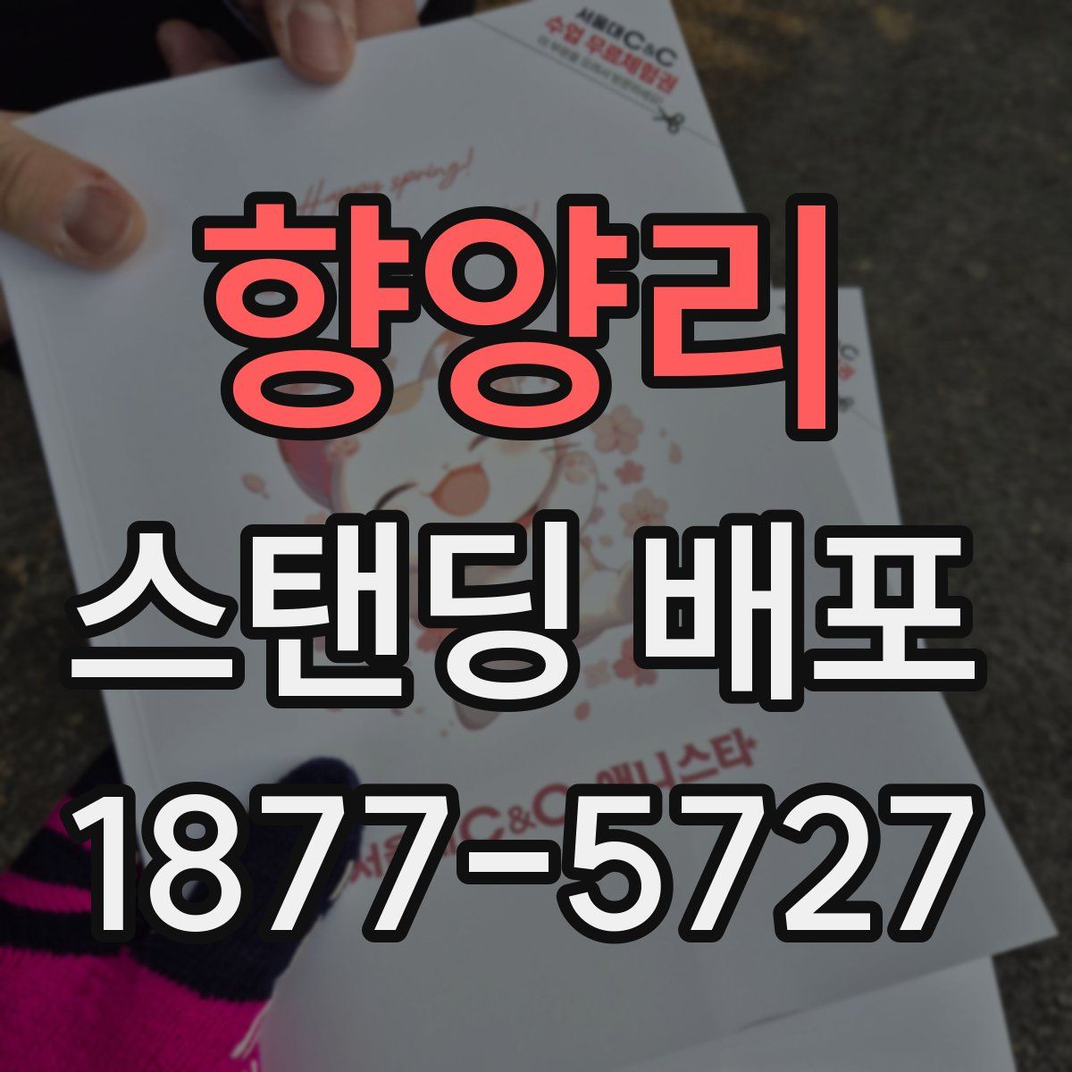 향양리 스탠딩 배포