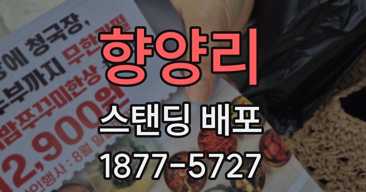 향양리 스탠딩 배포
