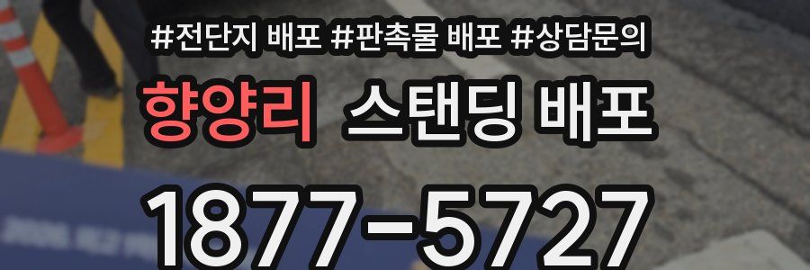 향양리 스탠딩 배포