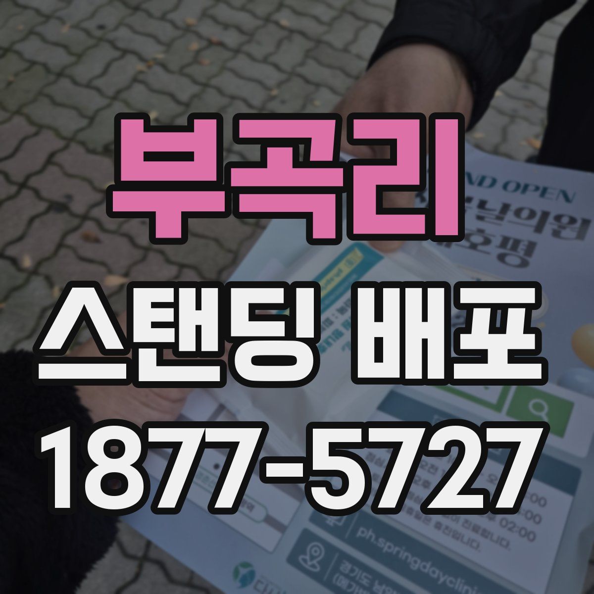 부곡리 스탠딩 배포