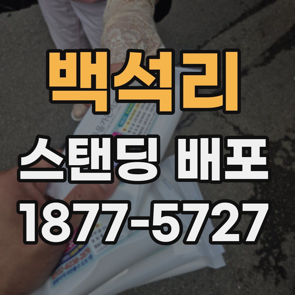 백석리 스탠딩 배포