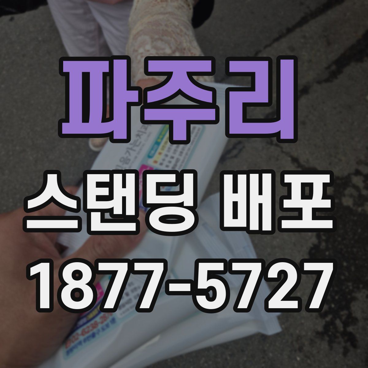 파주리 스탠딩 배포