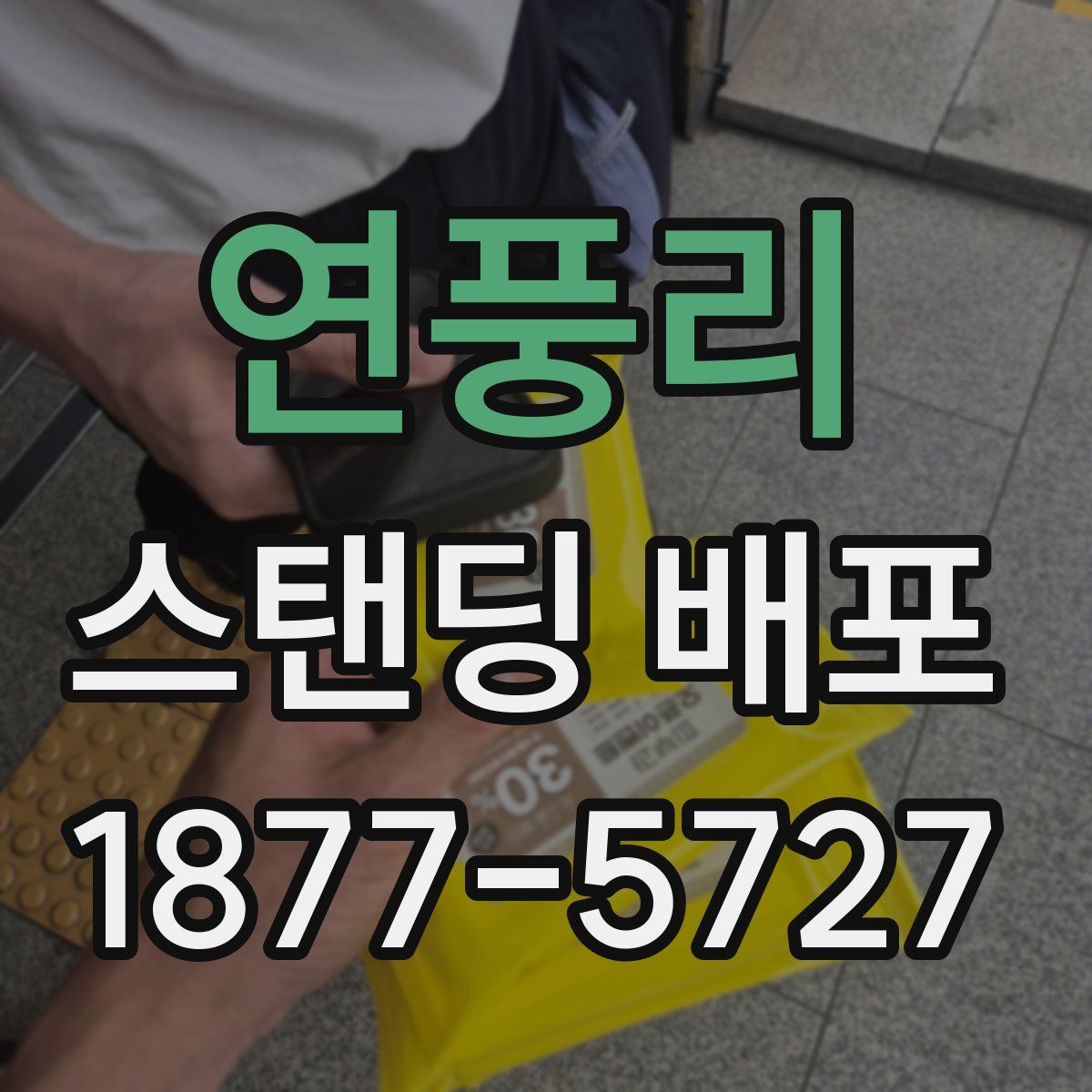 연풍리 스탠딩 배포
