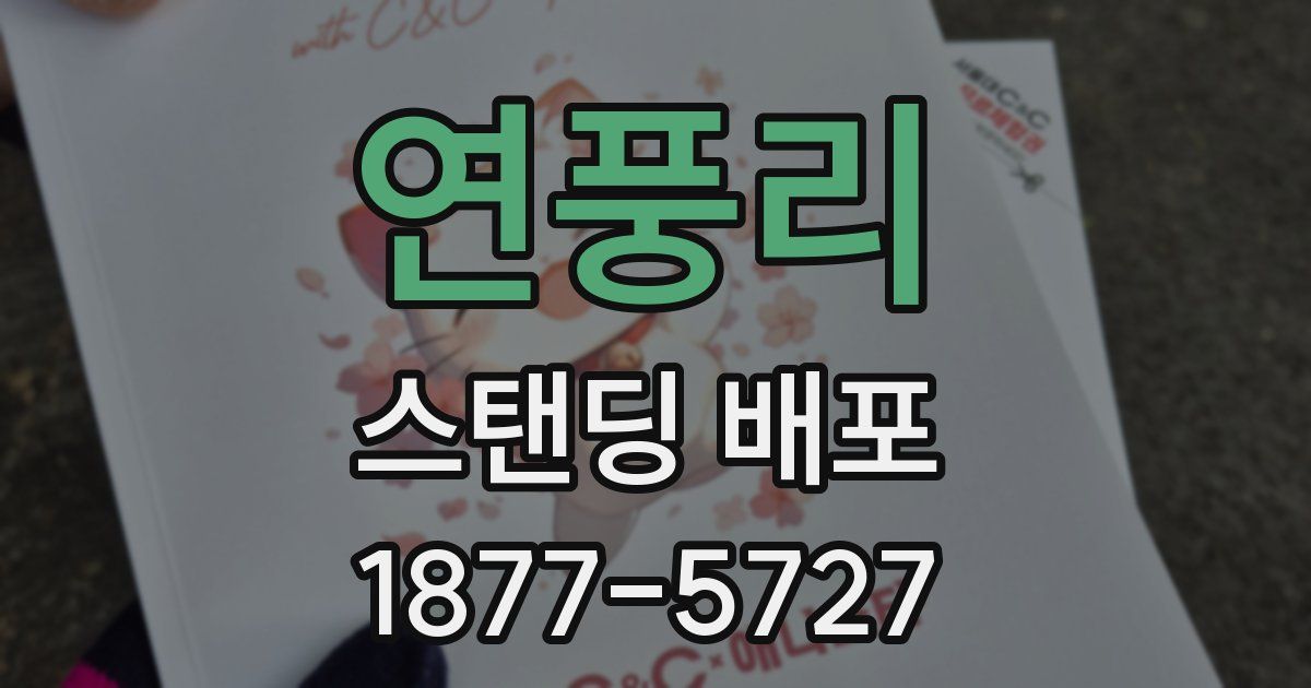 연풍리 스탠딩 배포