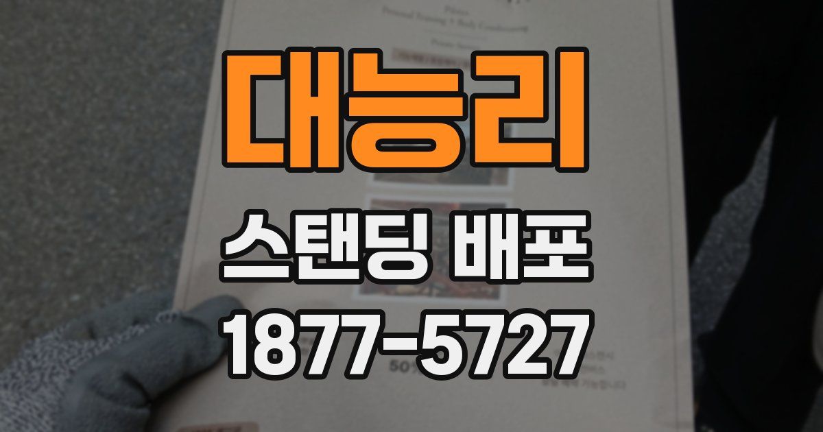 대능리 스탠딩 배포