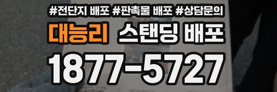 대능리 스탠딩 배포