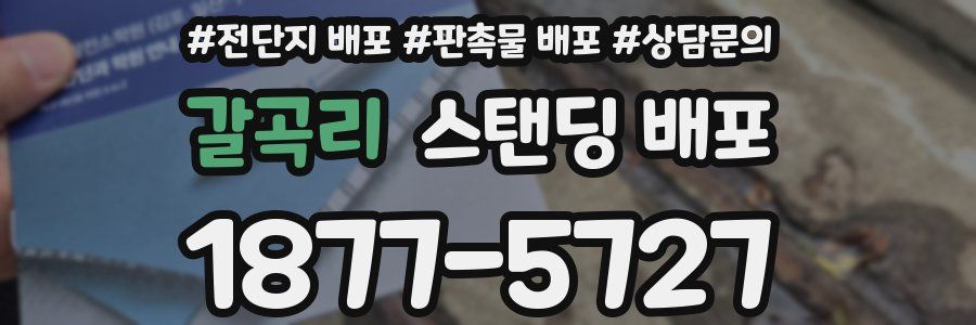 갈곡리 스탠딩 배포