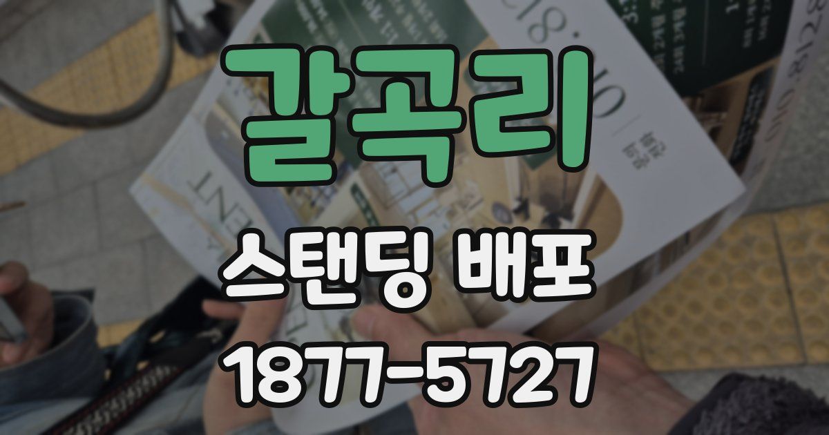 갈곡리 스탠딩 배포