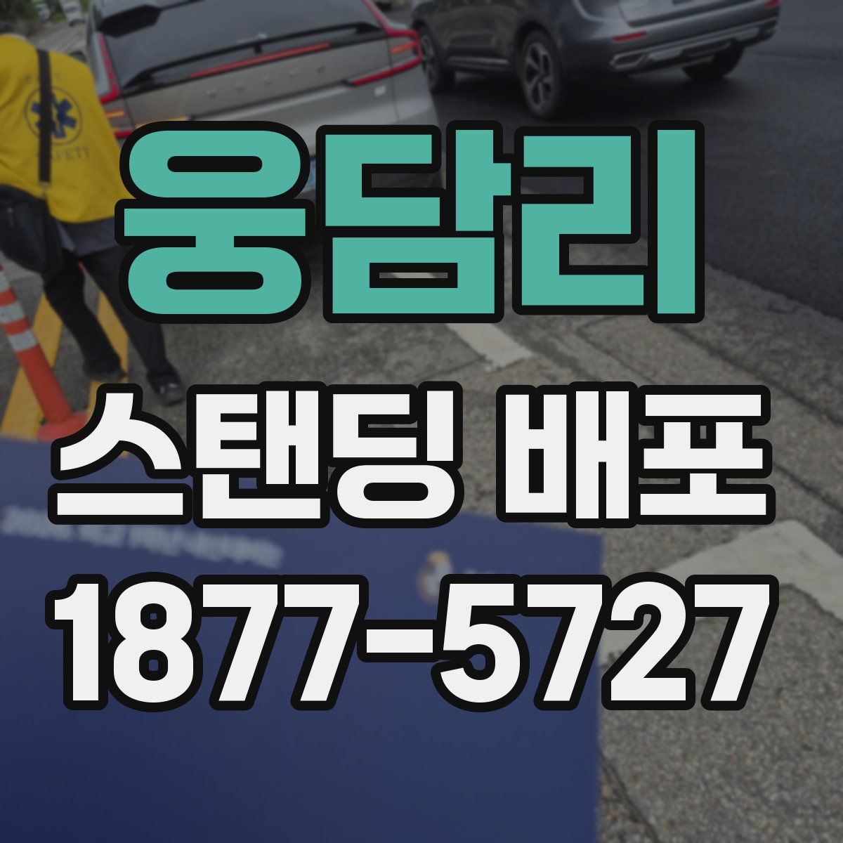 웅담리 스탠딩 배포