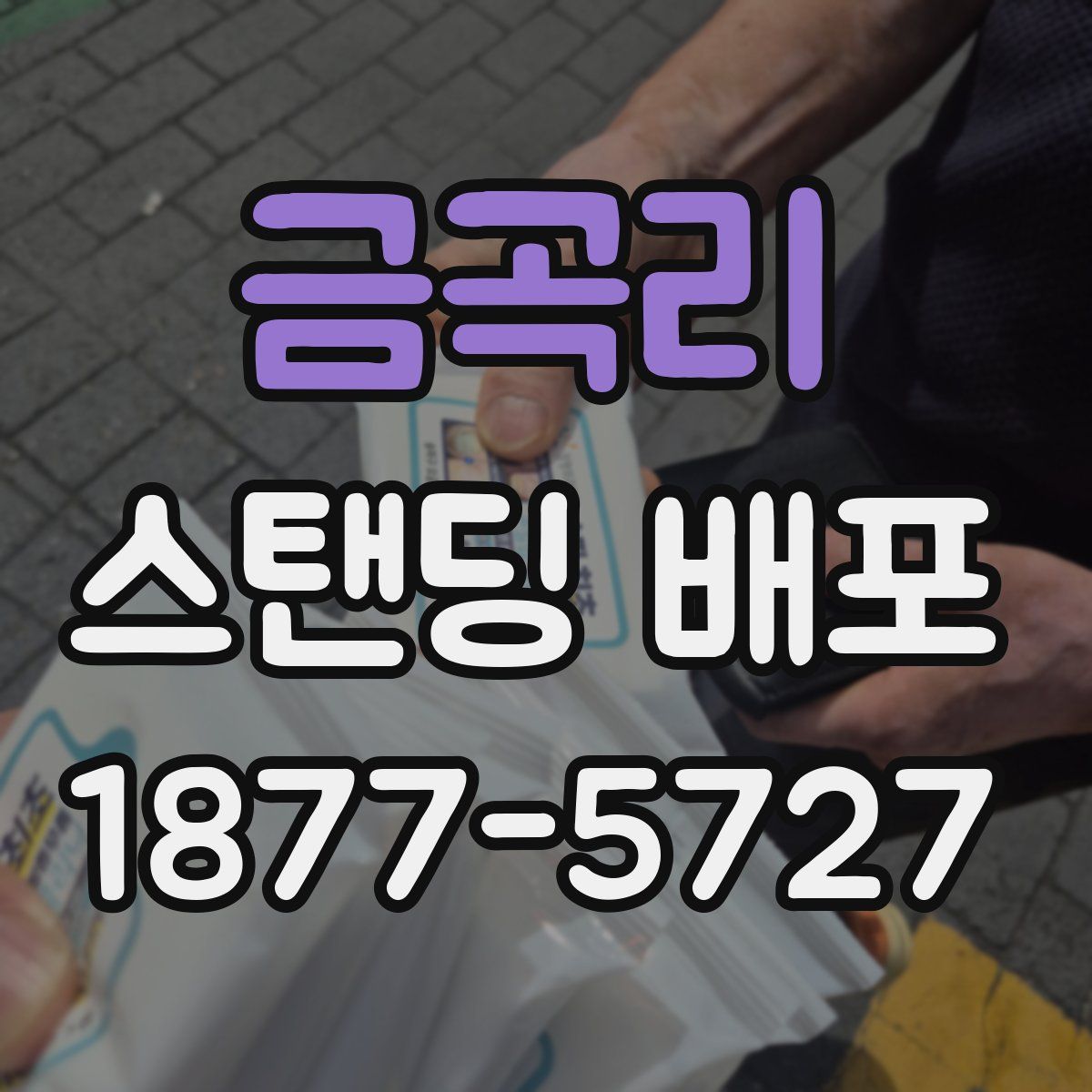 금곡리 스탠딩 배포