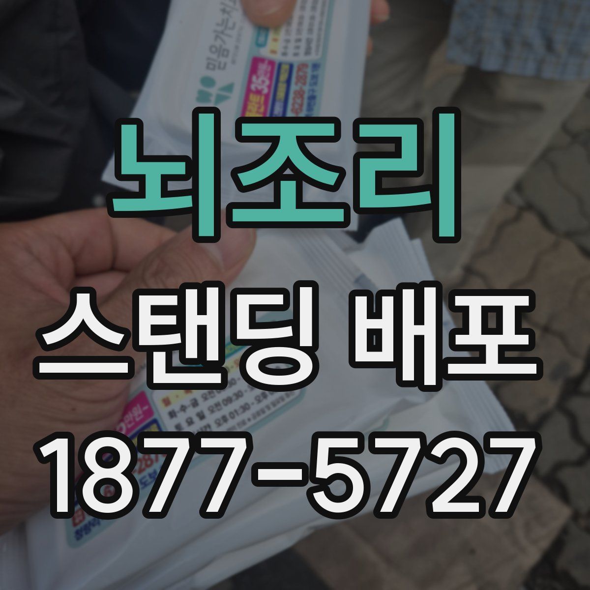 뇌조리 스탠딩 배포